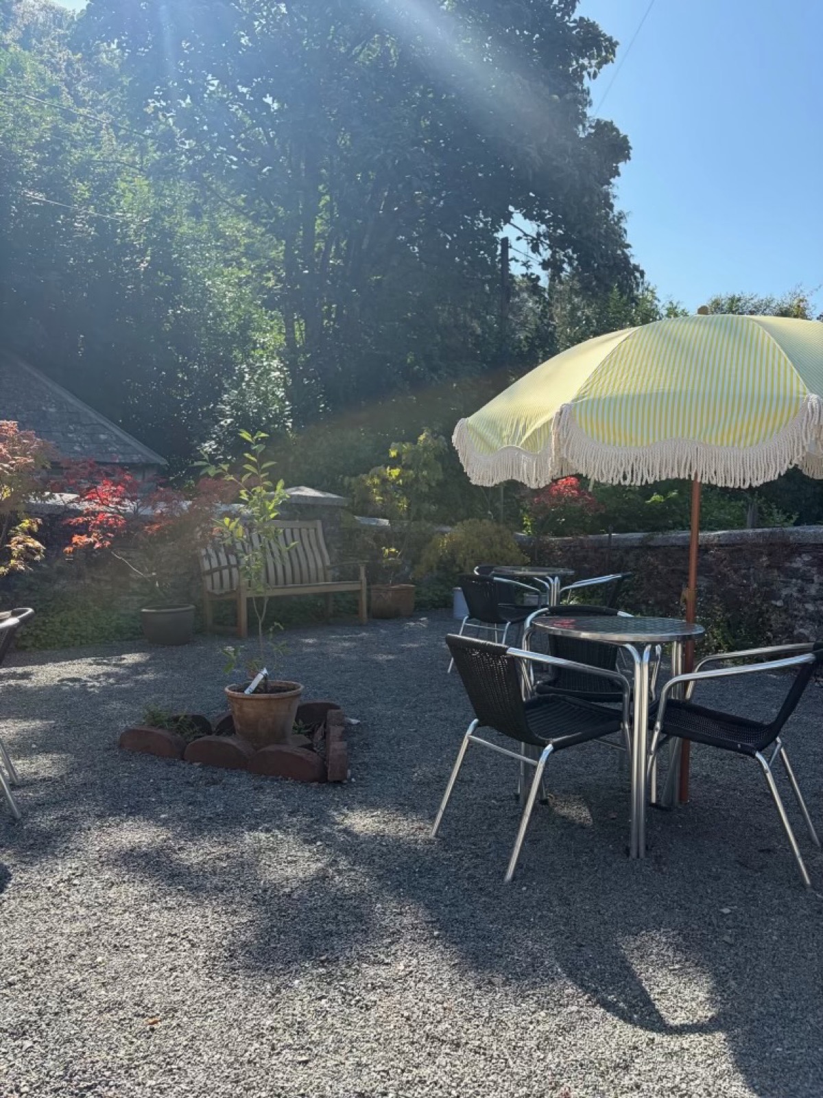 Outdoor seating at the gardens