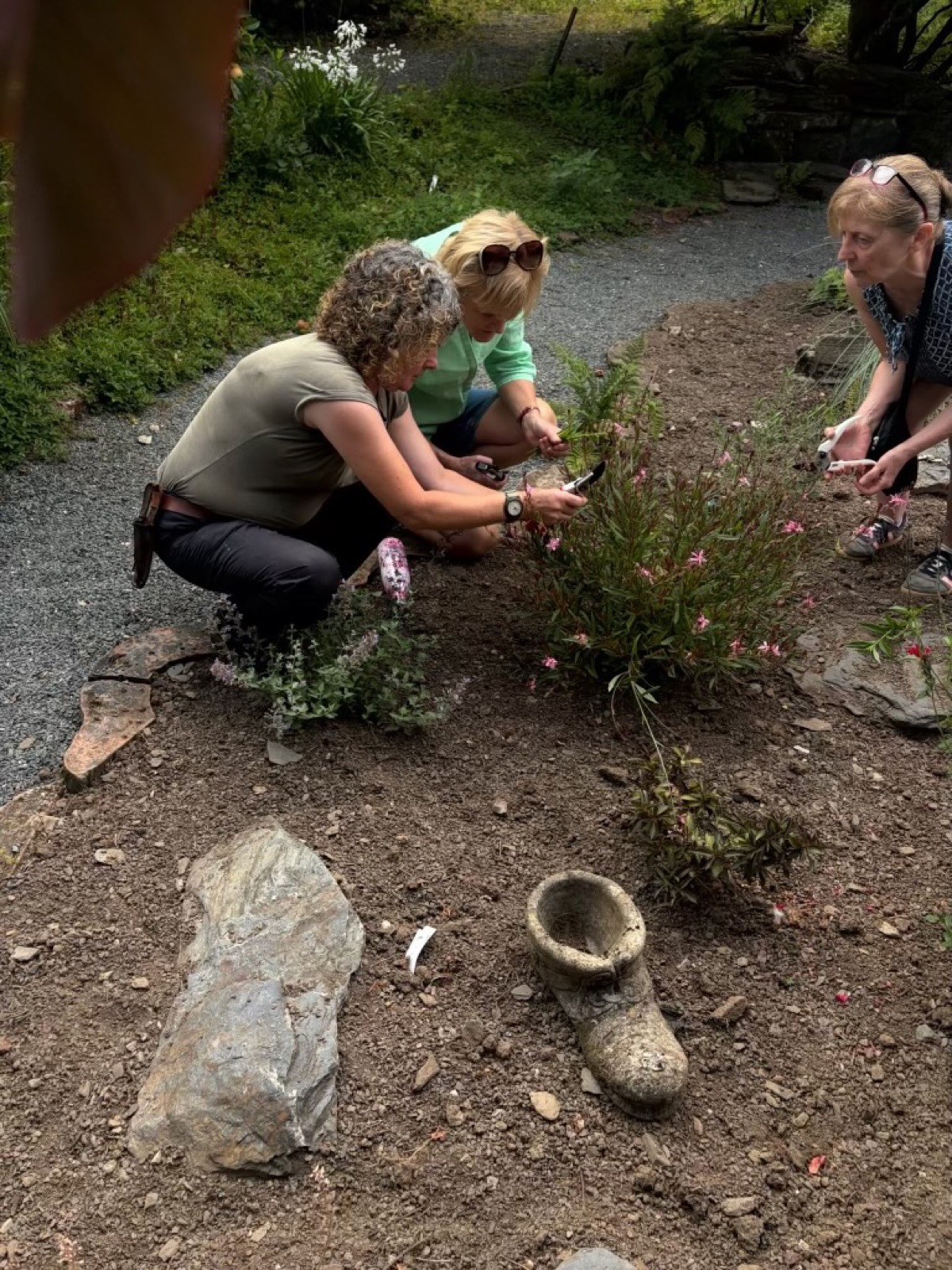 Learning together with plants in the gardens