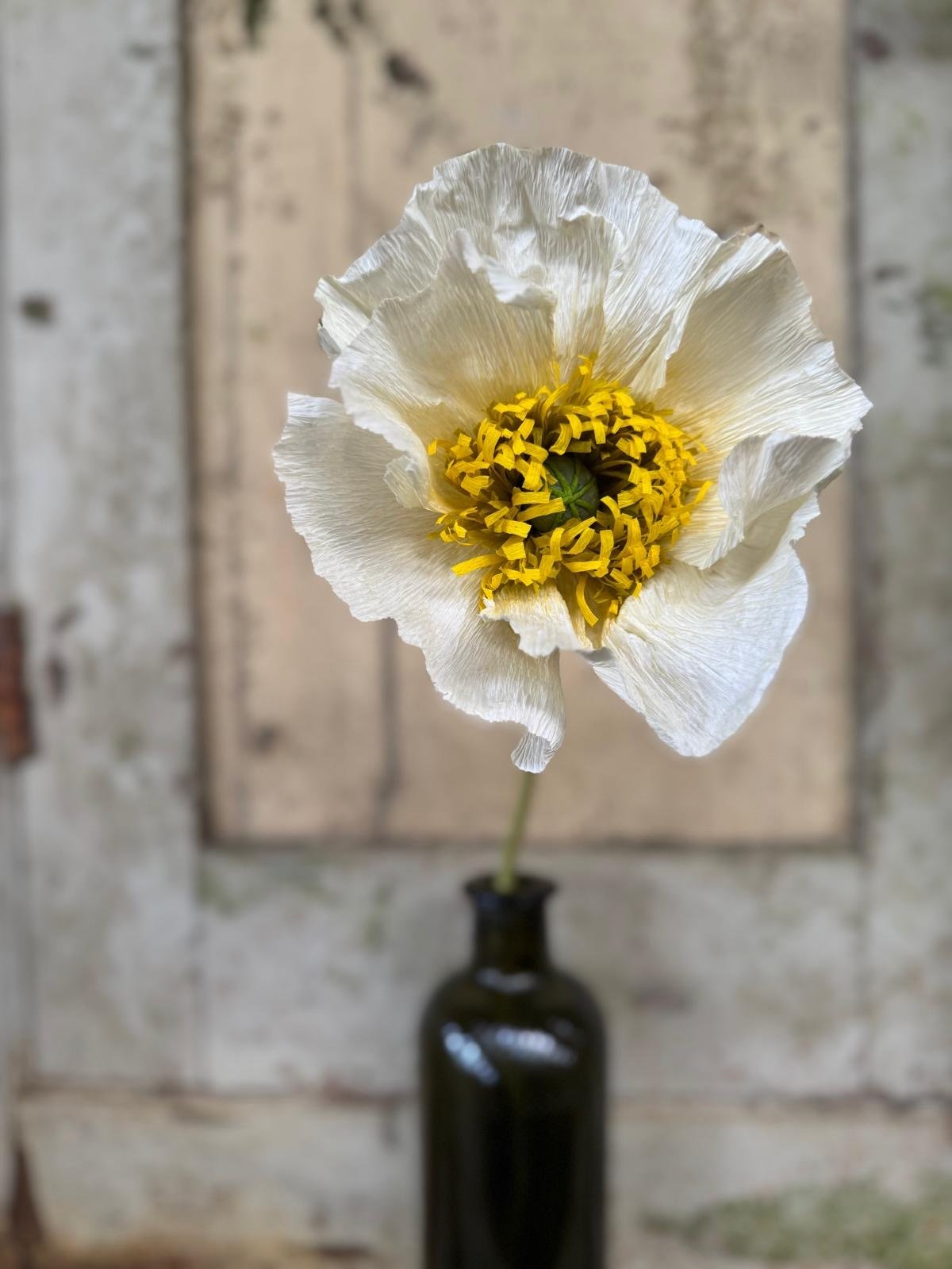 A handmade white crepe paper flower with a yellow centre in a dark bottle
