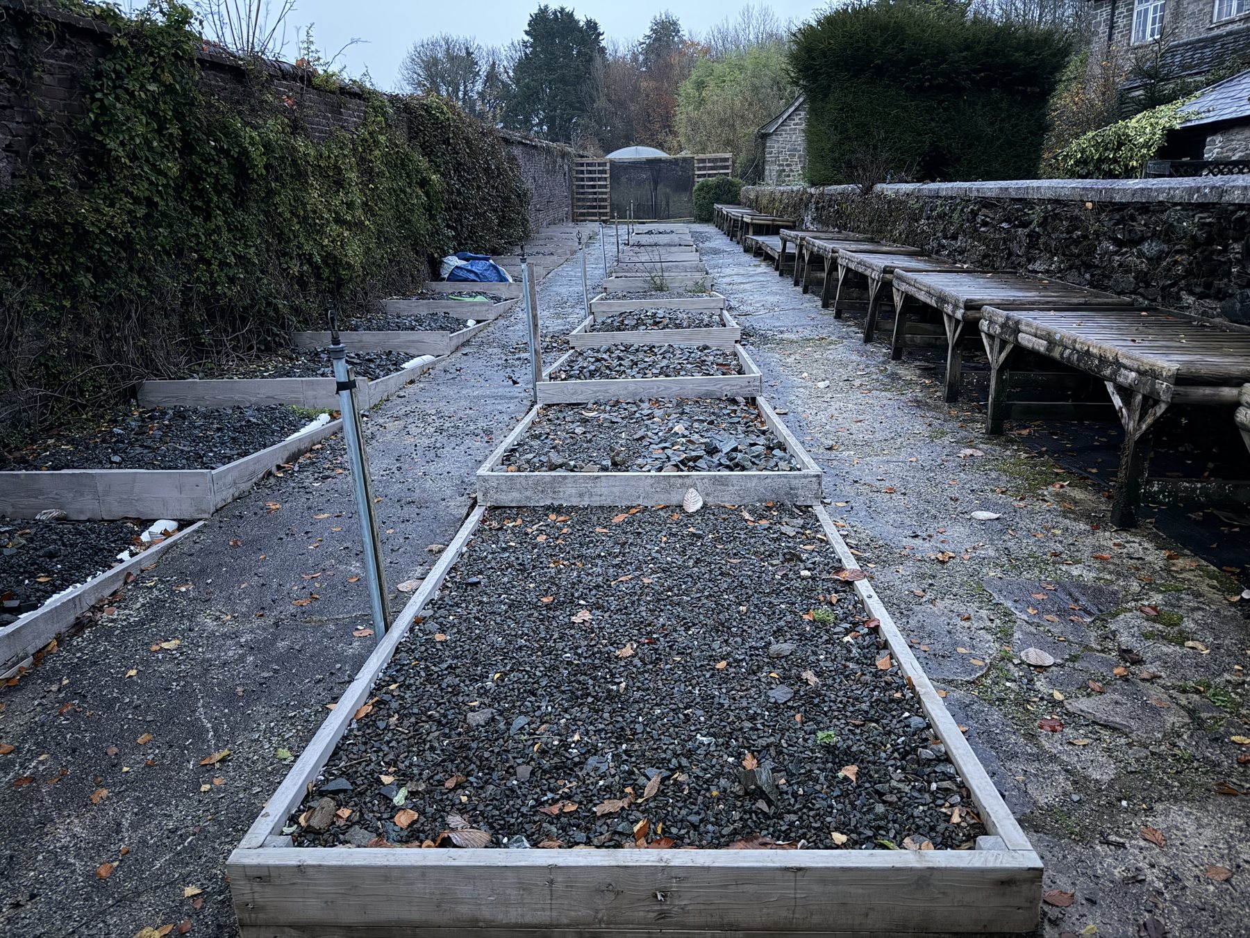 Beds taking shape